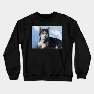 Attentive Crewneck Sweatshirt